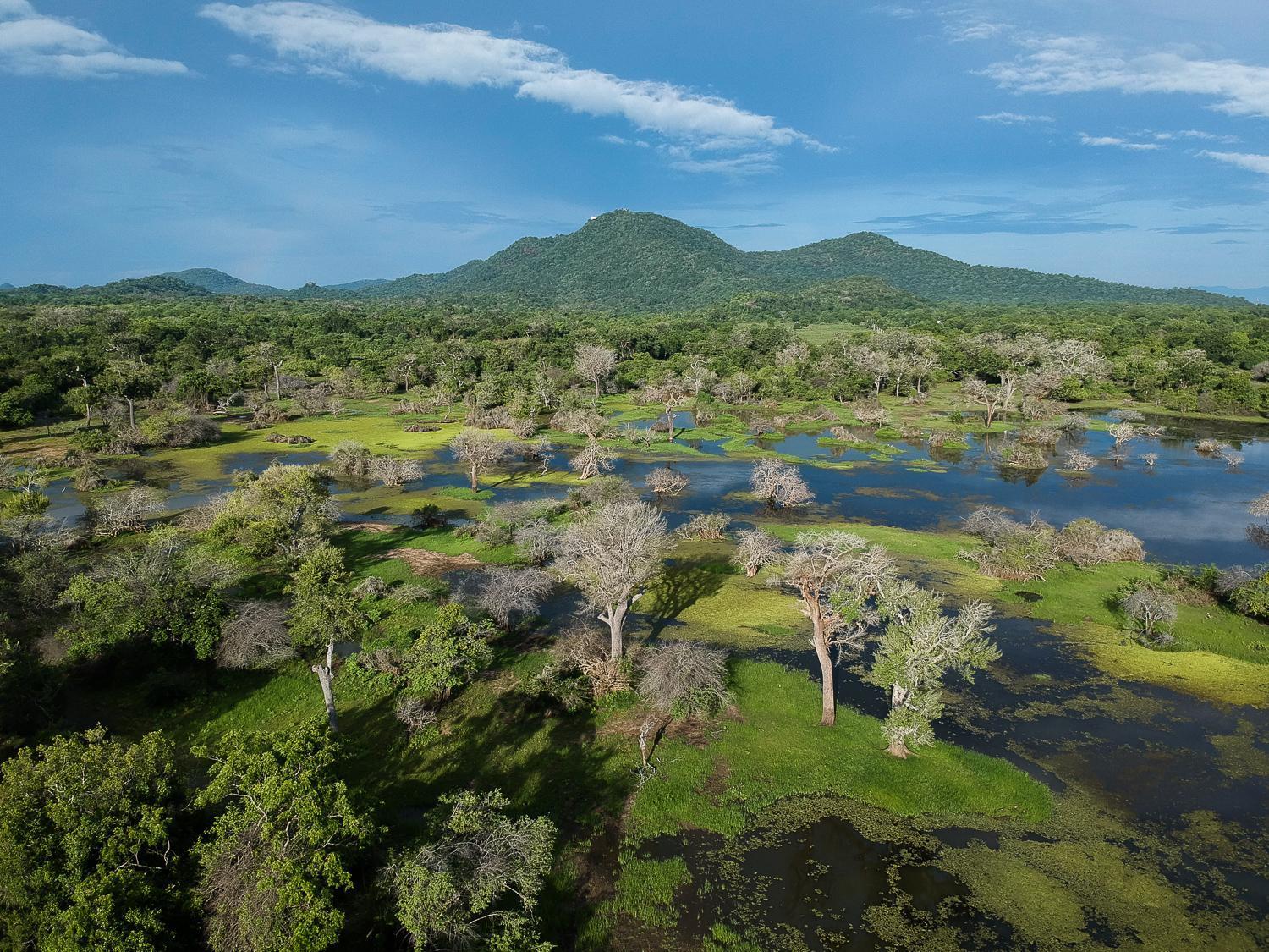Kulu Safaris Hotel Yala Buitenkant foto