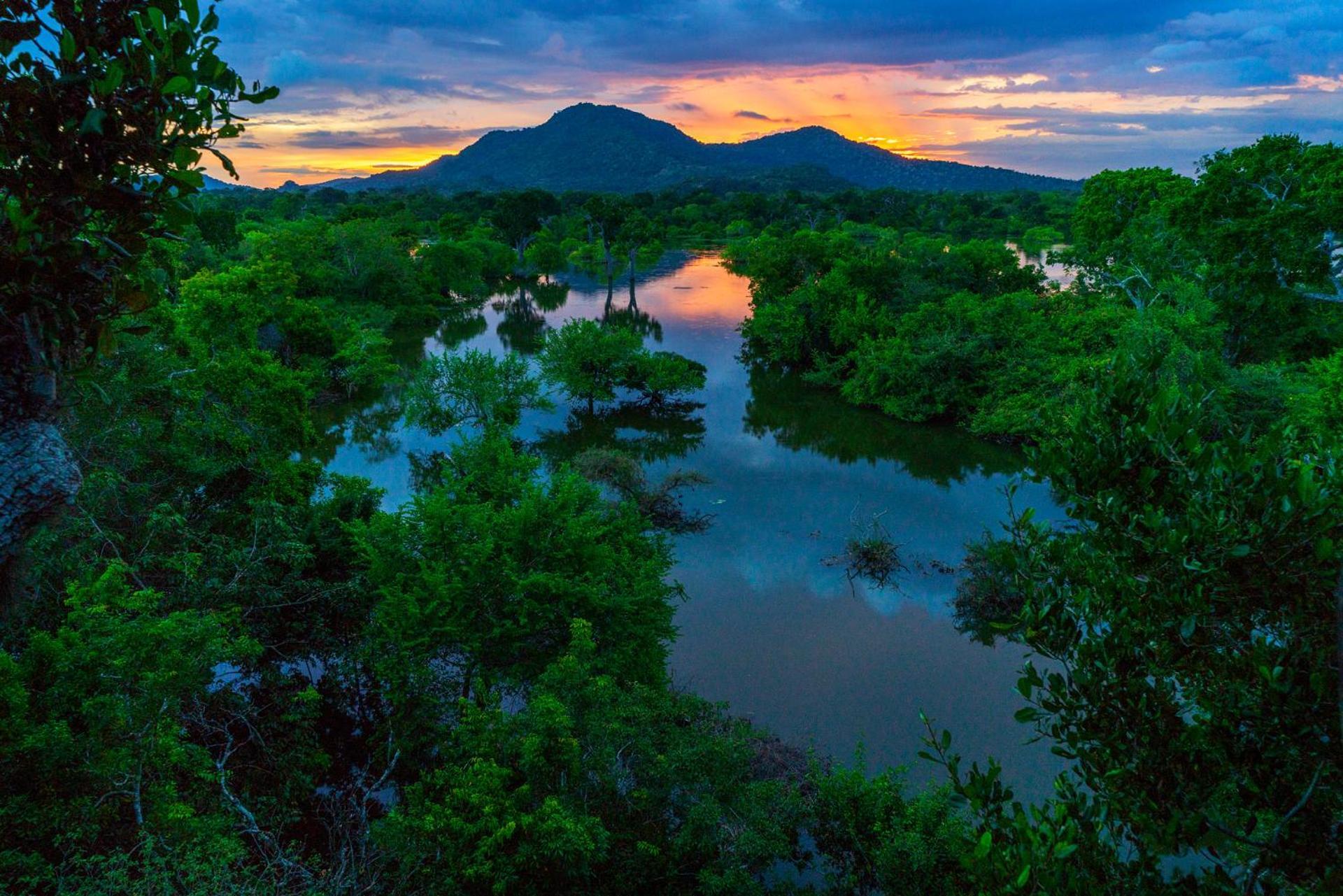 Kulu Safaris Hotel Yala Buitenkant foto