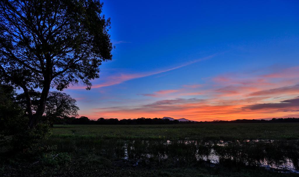 Kulu Safaris Hotel Yala Buitenkant foto
